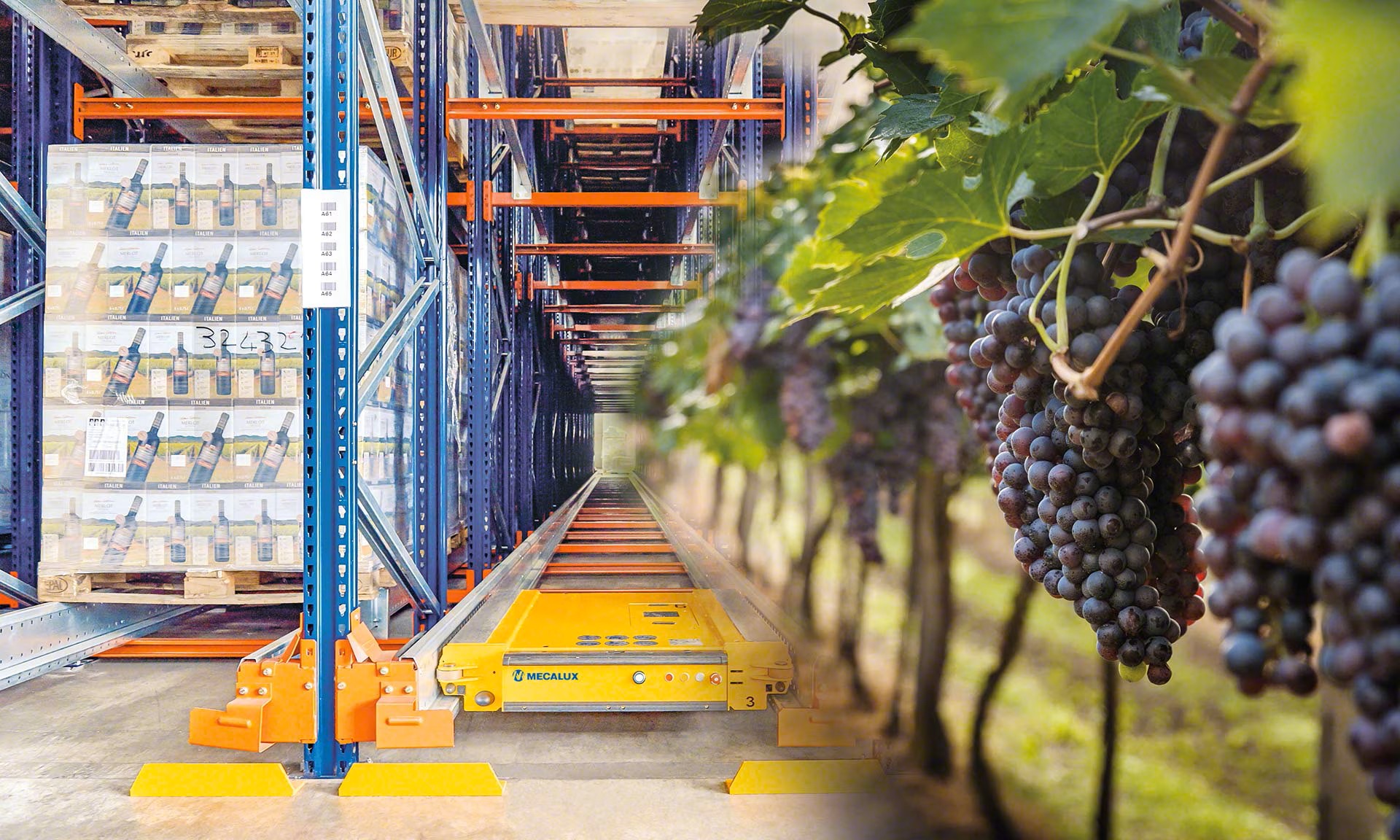 wine-warehousing